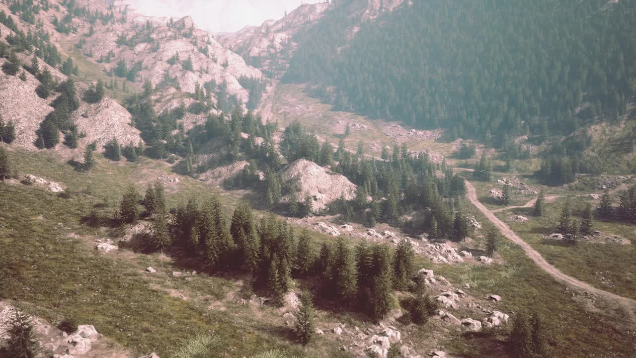 有树木和岩石的风景优美的山景视频素材