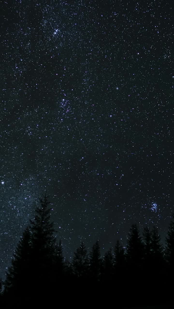 森林上空移动的星星的时间流逝视频素材