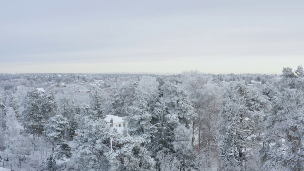 从积雪覆盖的别墅区域的冬季场景视频下载