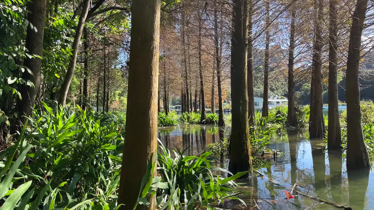 台湾日月潭的湖景视频素材