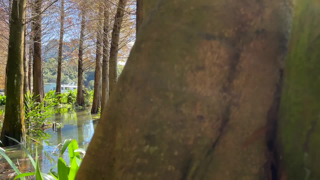 台湾日月潭的湖景视频素材