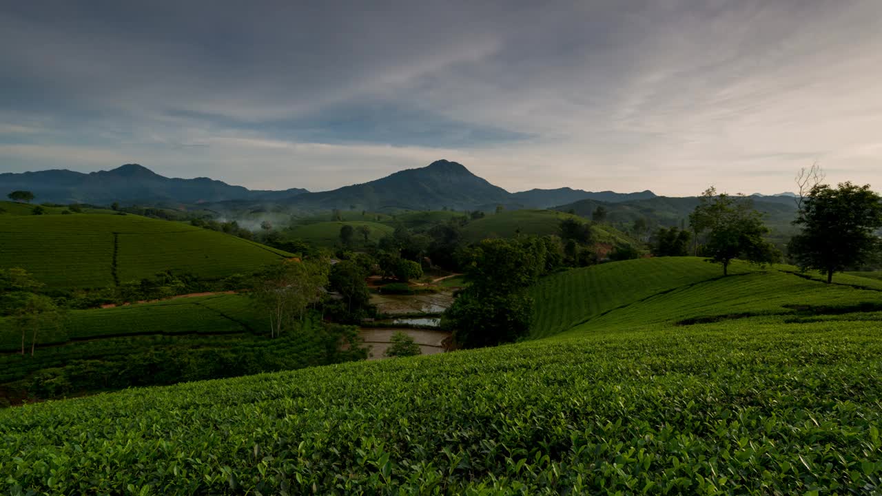 越南龙芯茶山日落视频素材