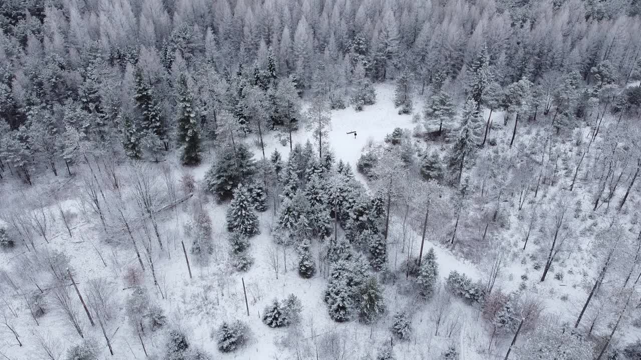 约克地区森林无人机视频视频下载