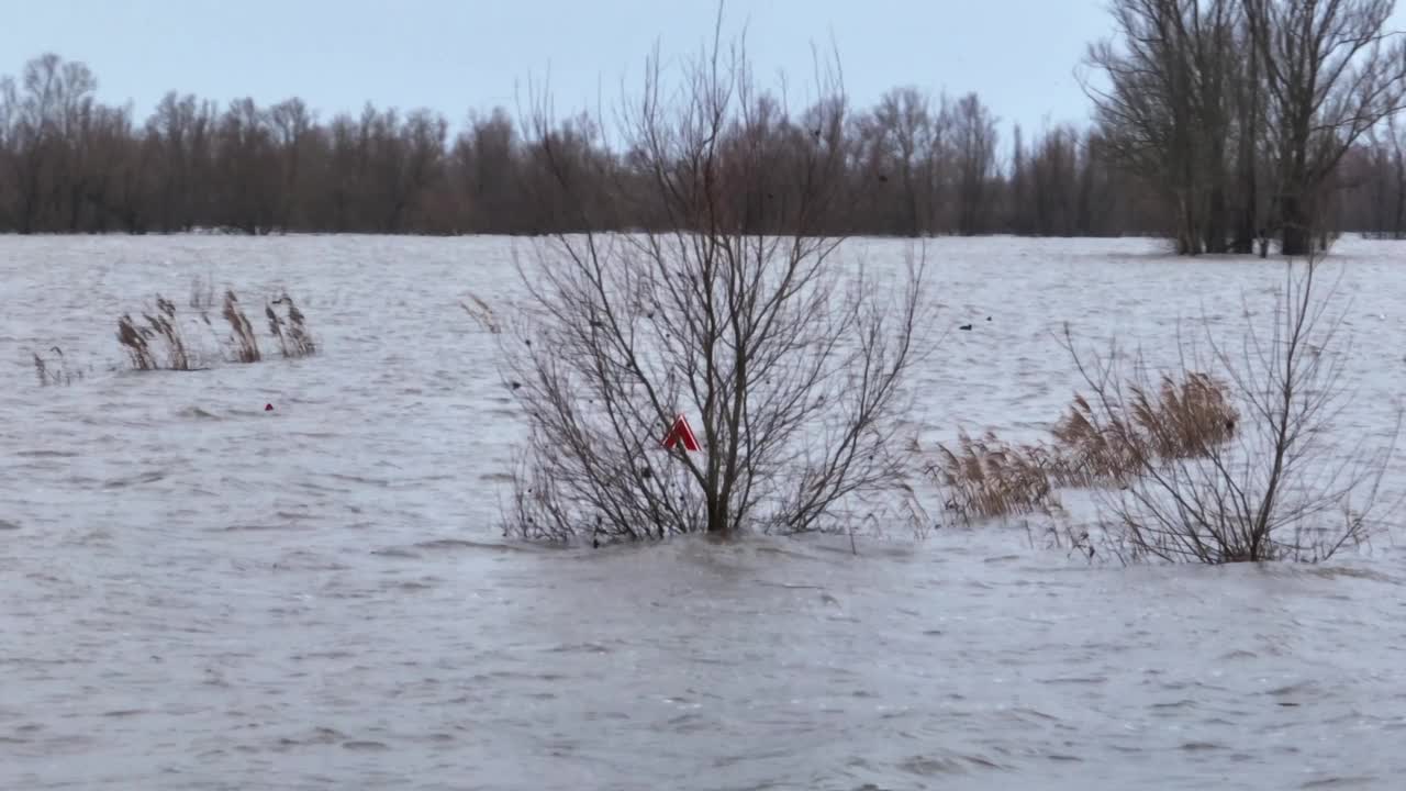 洪水在荷兰瓦尔河沿岸的瓦利克，盖尔德兰，水下道路和田野视频素材