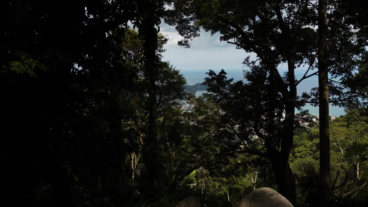 丛林山脉海滩小镇热带岛屿树飞越，无人机揭示拍摄苏梅岛视频素材