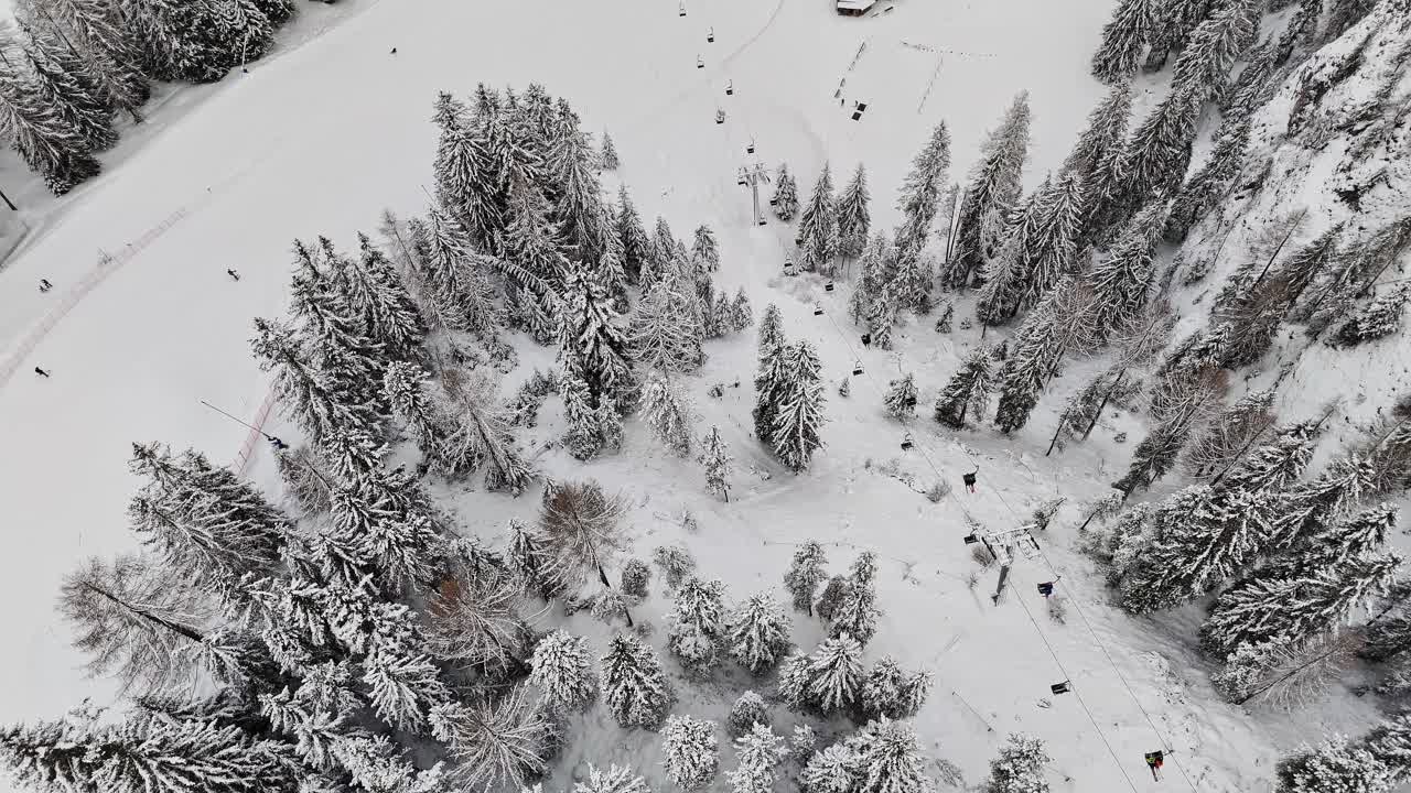 鸟瞰图:意大利加迪纳山谷的雪覆盖森林视频素材