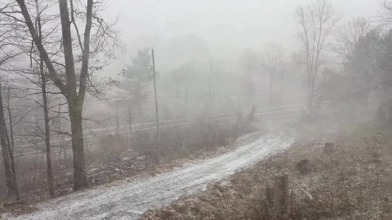 雪暴风视频下载