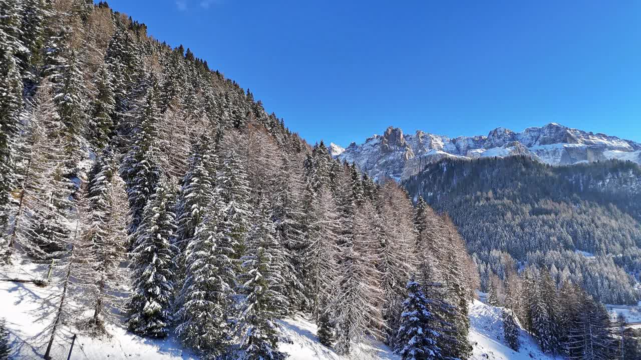 白雪覆盖的山与树木在前景视频素材