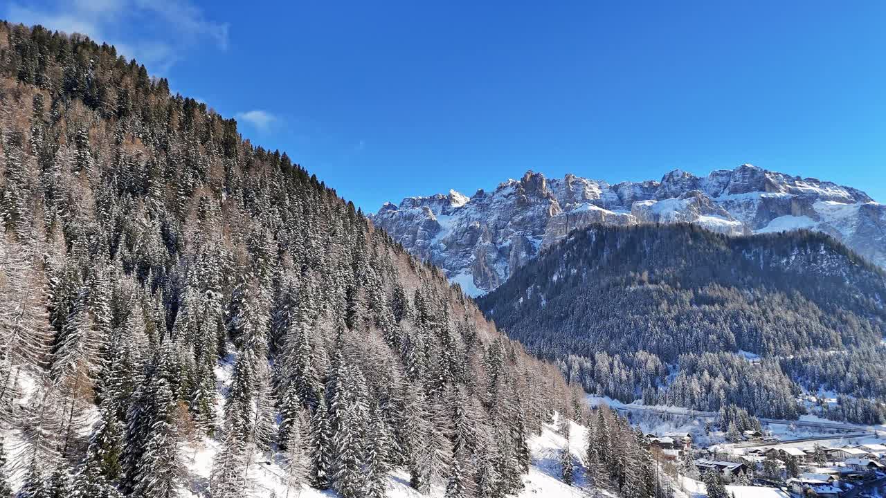 鸟瞰有树的雪山视频素材