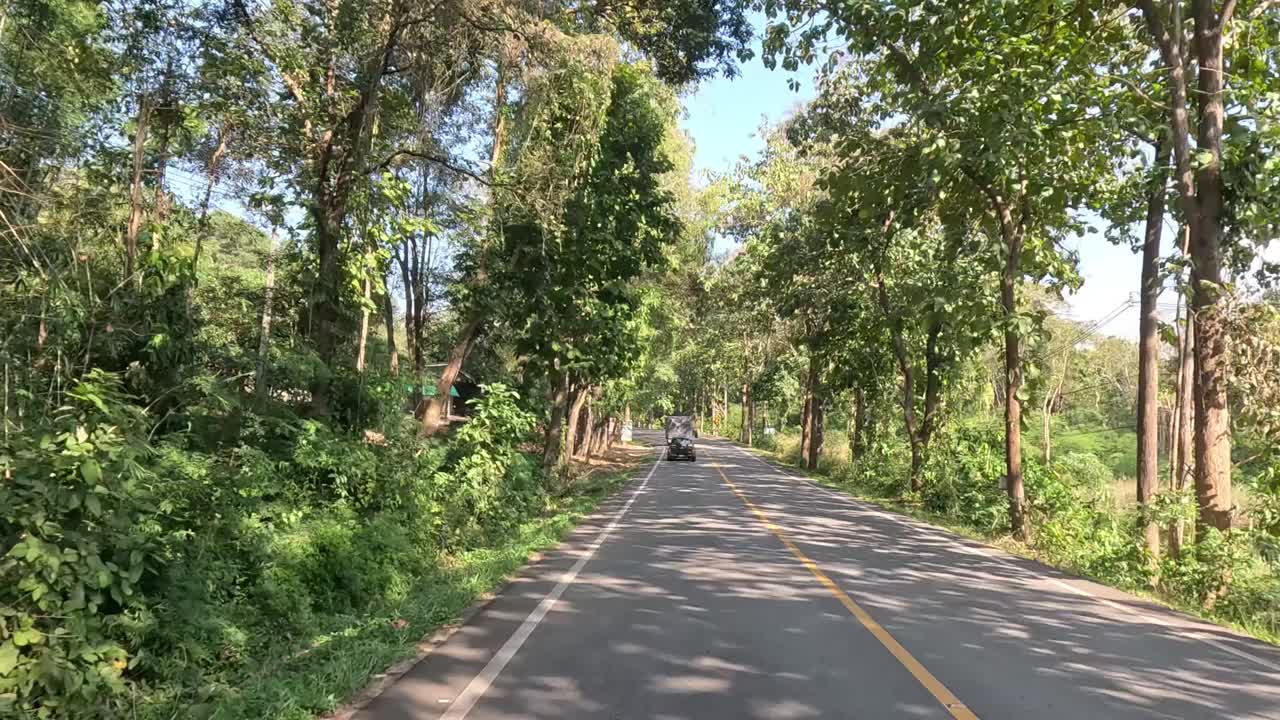 穿过森林路的风景车视频素材