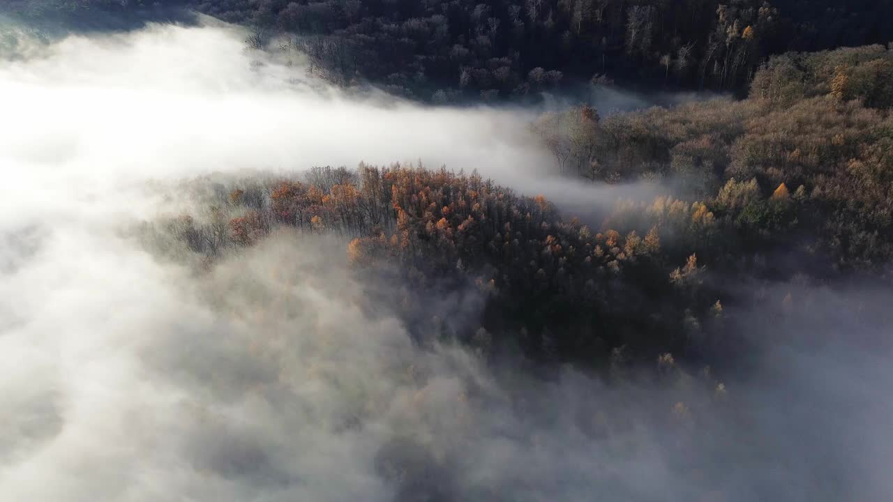 无人机拍摄的太阳在雾林中升起的时间推移图-阳光视频下载