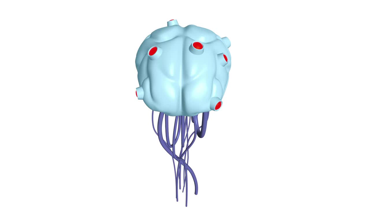 网络大脑有线神经网络。机器人永恒的器官。Cyborg的大脑视频下载