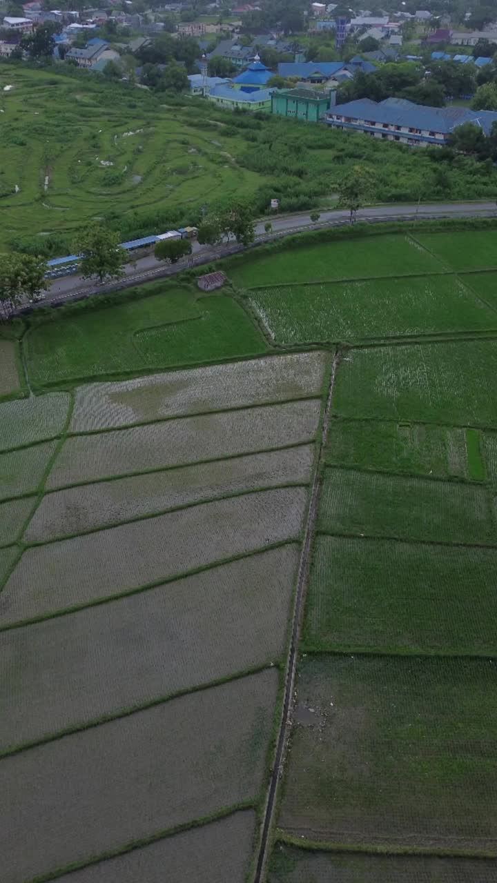 垂直无人机拍摄的农村梯田，Bone Bolango Regency, Gorontalo，印度尼西亚视频素材