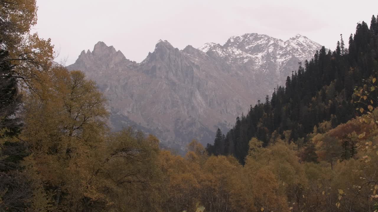 一次友好的山间徒步旅行。有创造力。潮湿的树叶铺在泥泞的道路上，巨大的山脉映衬着明亮的天空。高品质4k画面视频素材