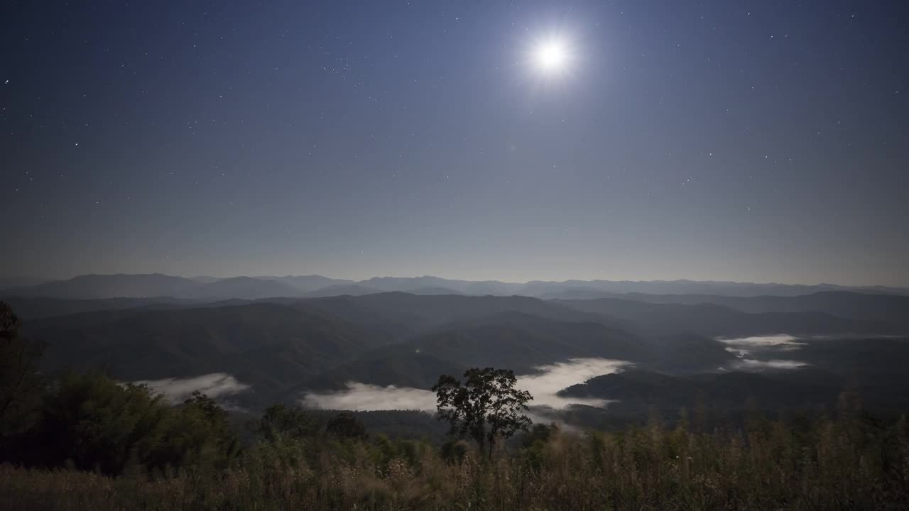 早晨的时候，山上有雾视频下载