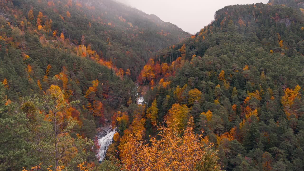 在一个多云、多雨、多雾的冬季早晨，奥德萨国家公园山谷里的瀑布和树木的特写镜头视频素材