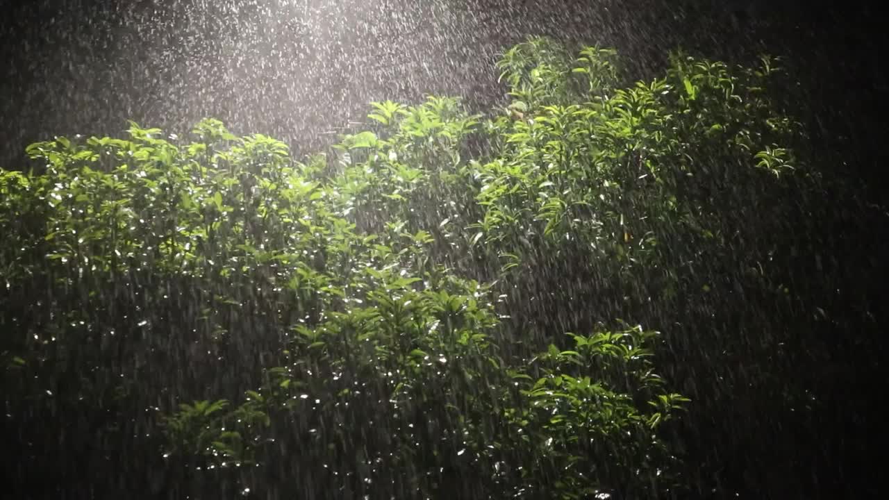 大雨情况视频下载