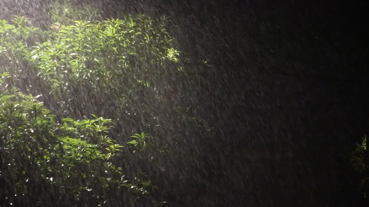 大雨情况视频下载