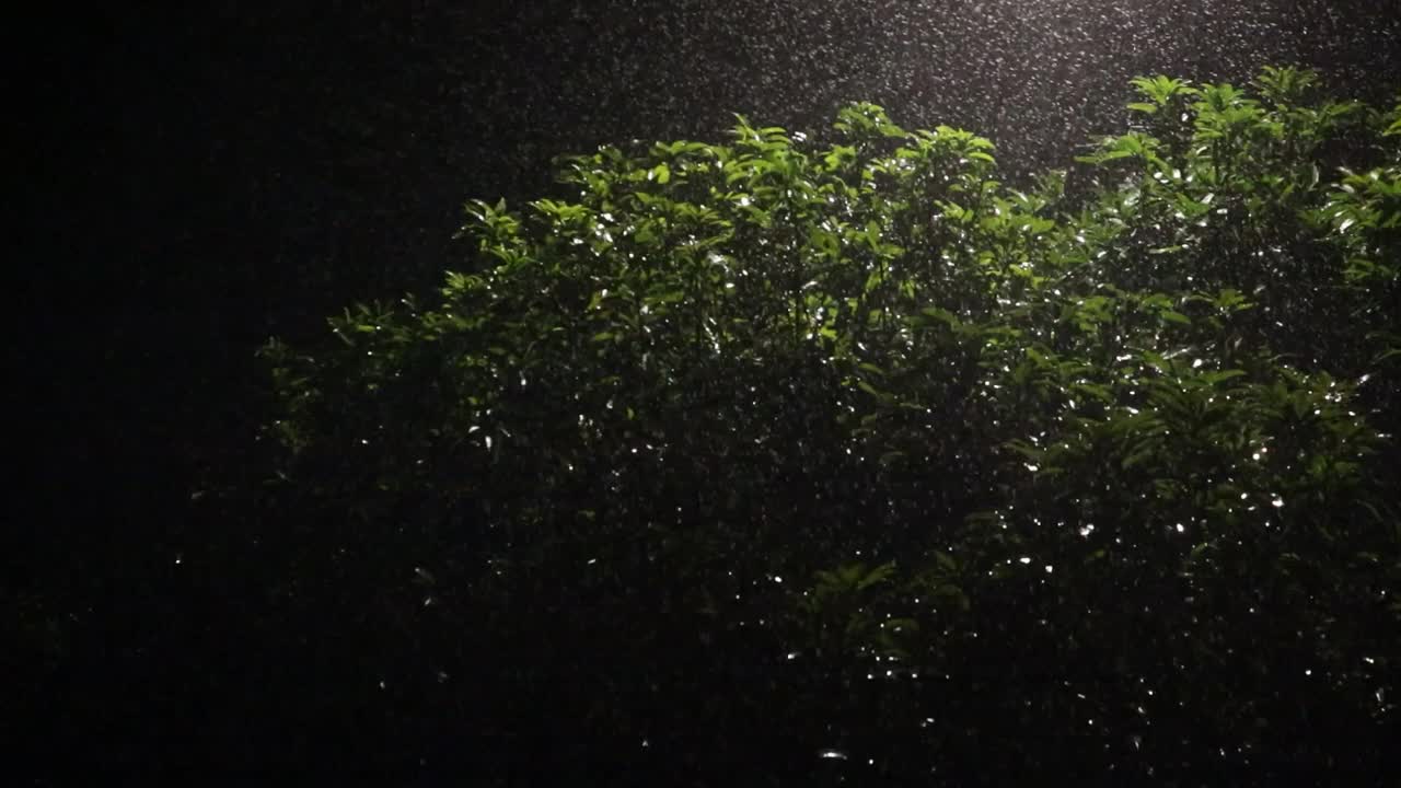 大雨情况视频下载