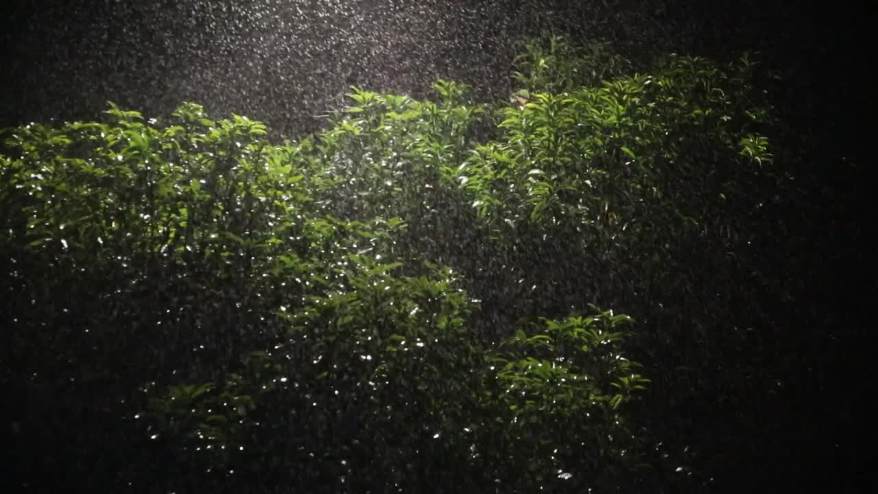 大雨情况视频下载