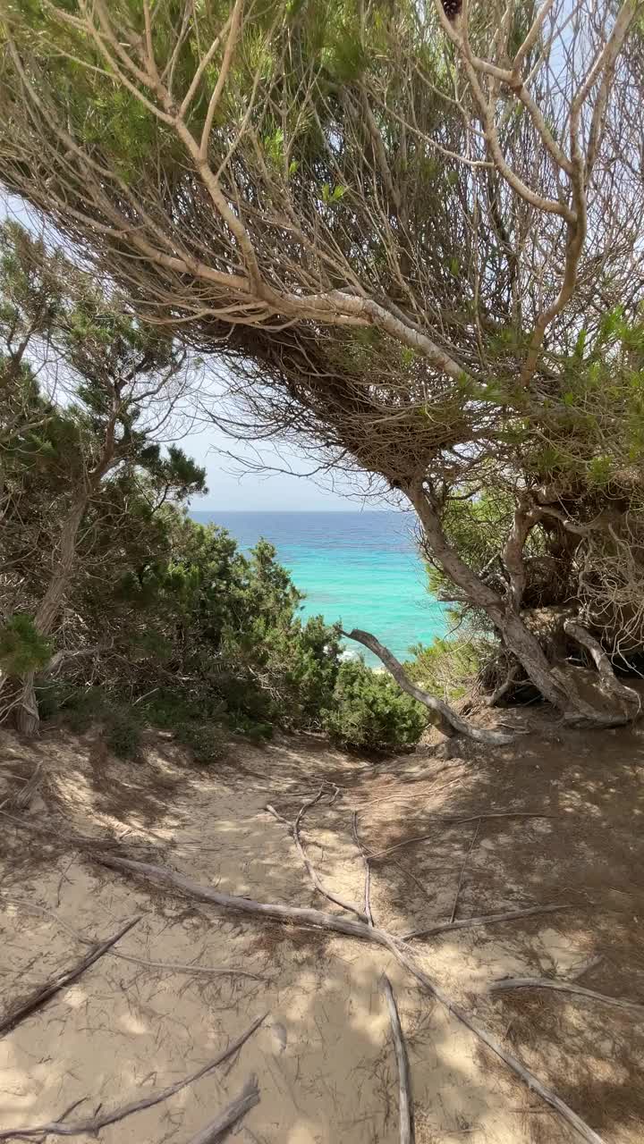 Caló d'Es Mort formentera的步行入口视频素材