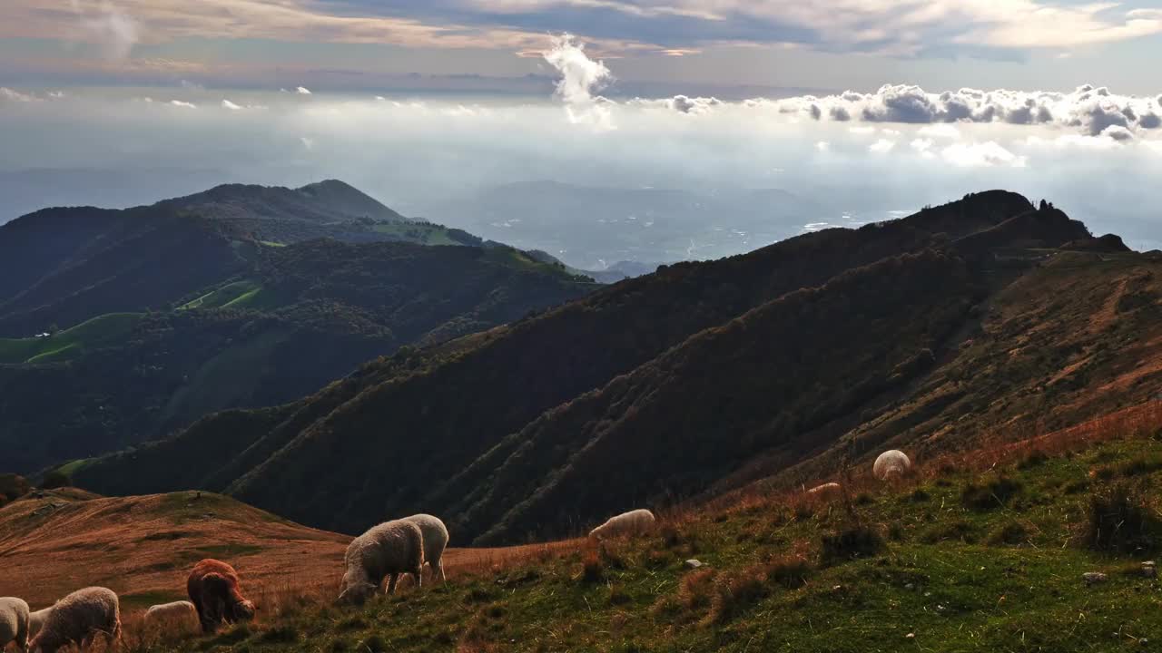 在一个阳光明媚的日子里，在美丽的云层里，在山景和山谷中，羊群高高站在山的一边视频素材