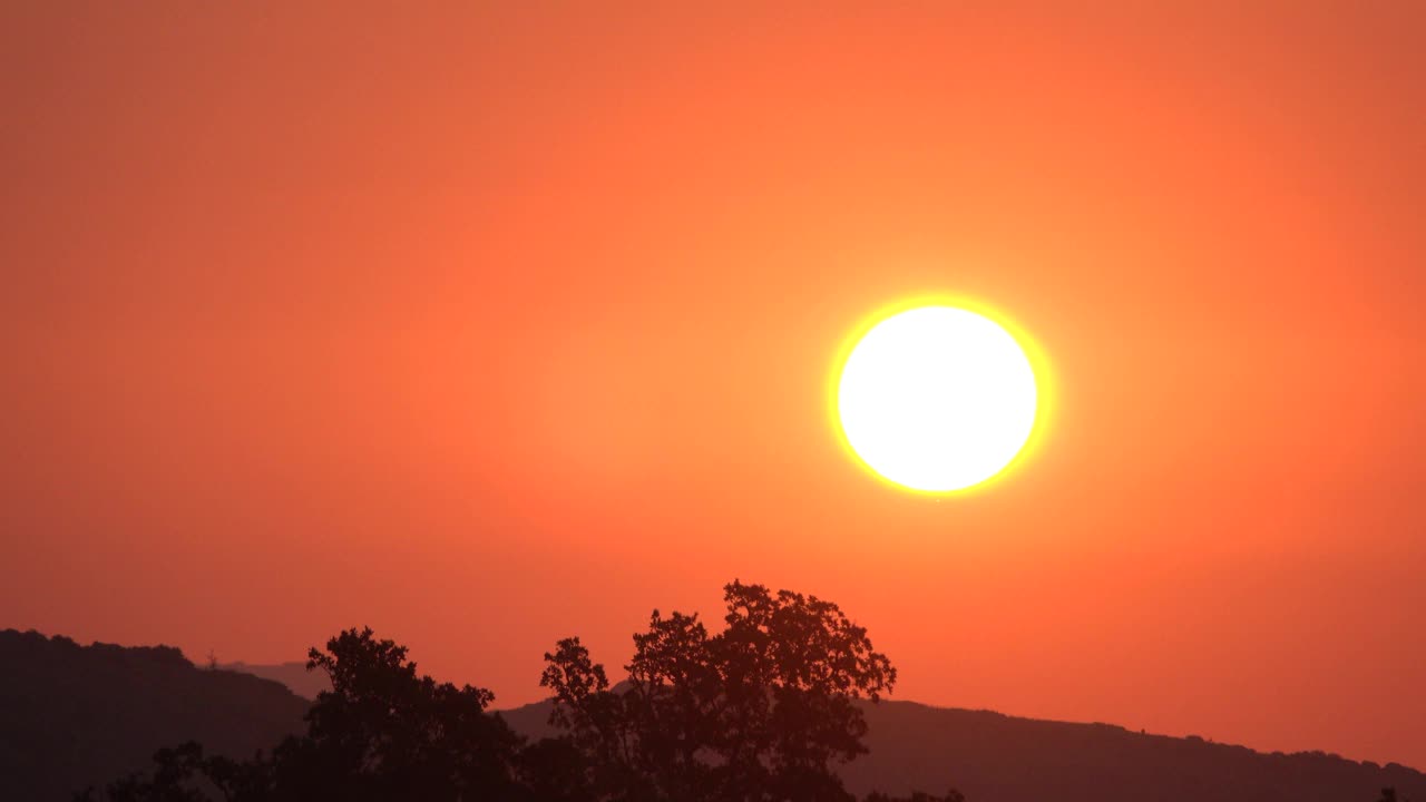 太阳从远处的树后升起视频下载