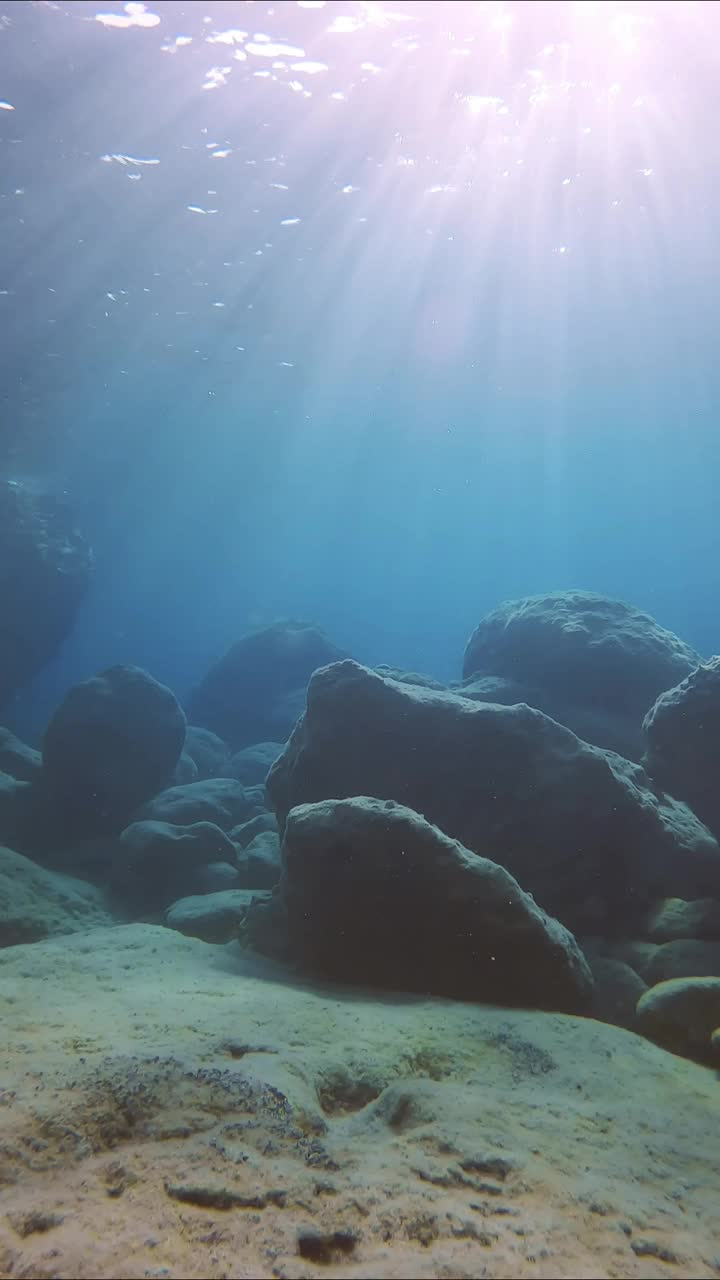 在明亮的阳光下，浅水里的巨石视频素材