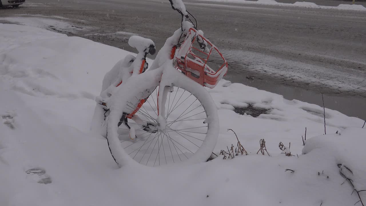 雪下自行车视频下载