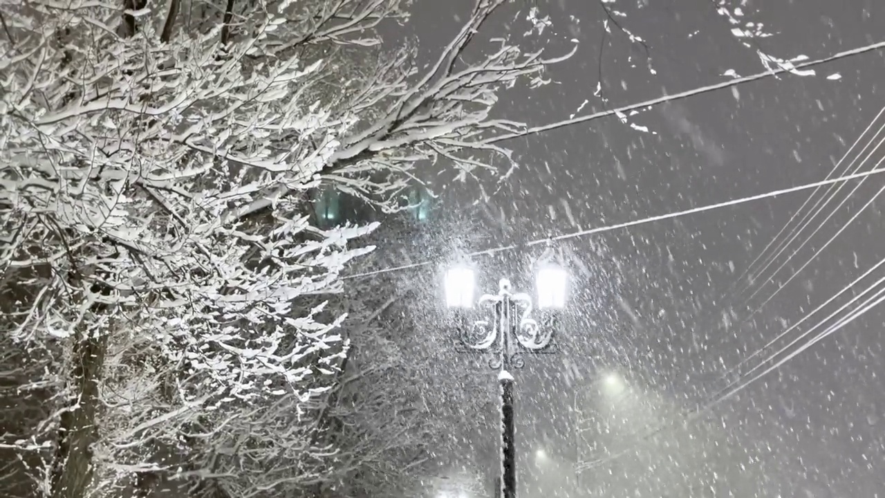 傍晚有雪。雪花一片片飘落，背景是黑色的天空、灯笼和树木。视频素材