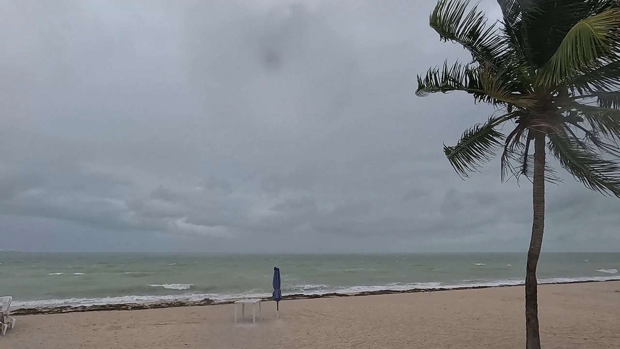 视频在4公里。在多云和雨天的海洋的看法。这张照片展示了海浪、雨滴、有桌子和雨伞的海滩，以及一棵在风中摇曳的棕榈树。墨西哥加勒比视频下载