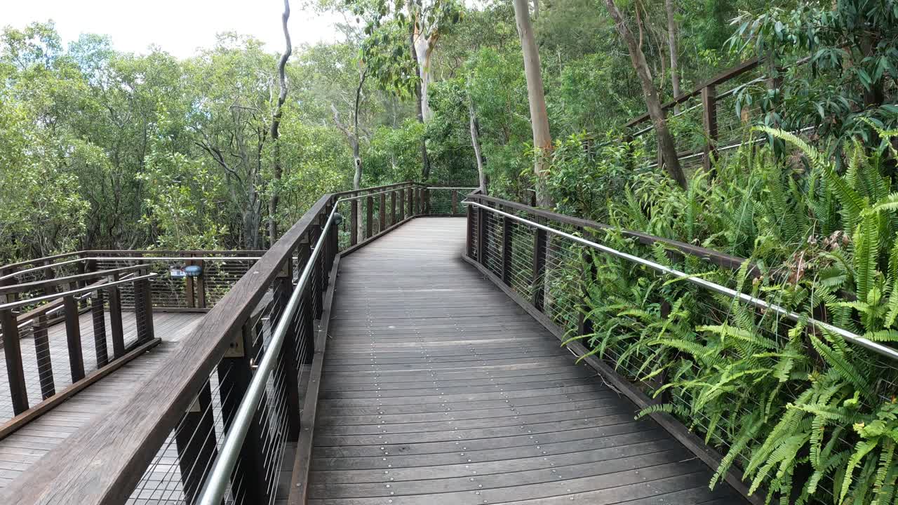 穿越森林木板路之旅视频素材