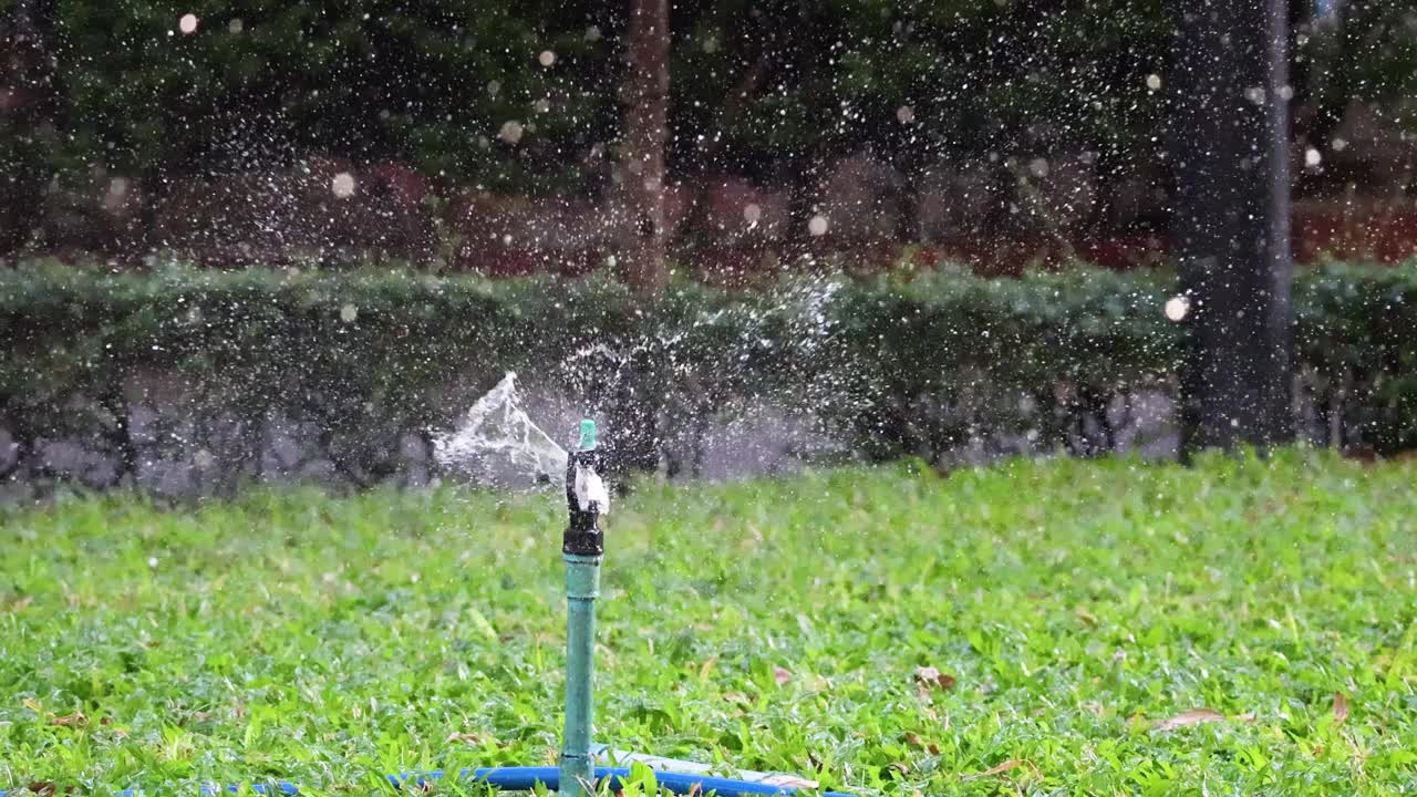 随着时间的推移洒水花园视频素材