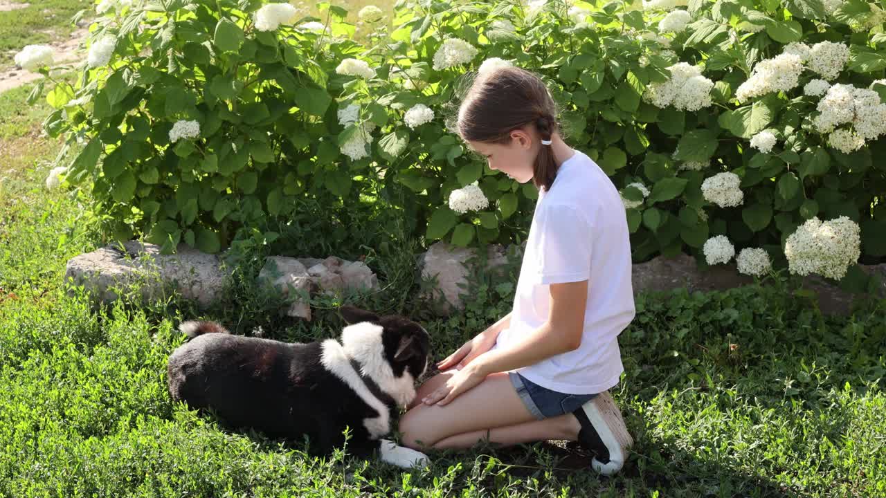 夏天的一天，一个十几岁的女孩在她家的院子里和她的狗玩耍视频下载