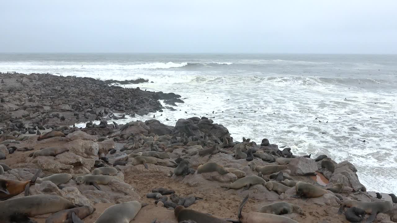 大西洋的巨浪。大西洋的波浪和岩石。美丽的海景。大西洋蔚蓝的大海和巨大的海浪撞击着岩石悬崖，溅起浪花和白色的泡沫。视频素材