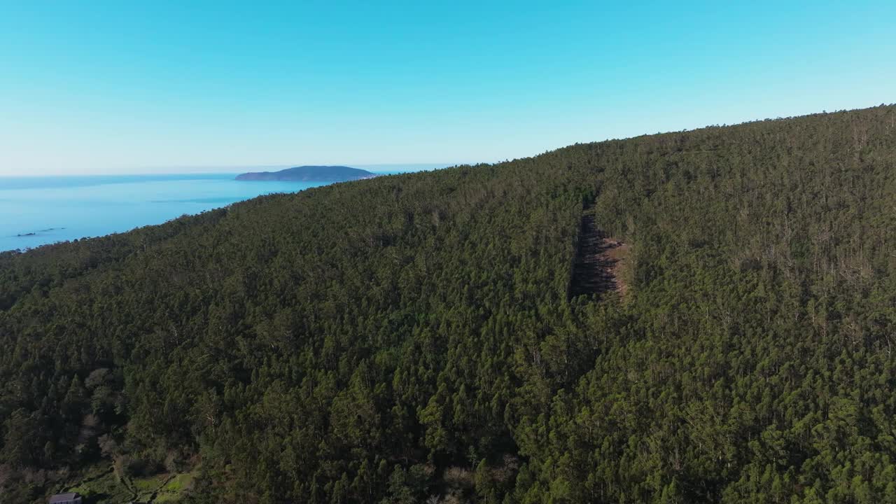 大西洋海岸的森林山丘视频素材