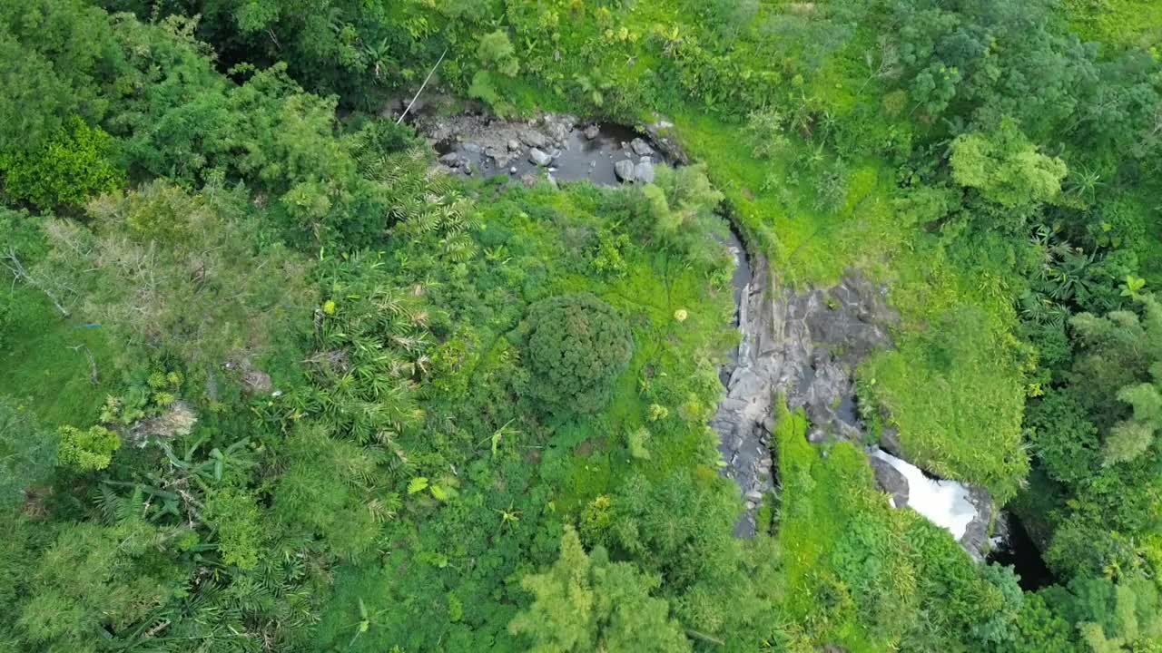 无人机拍摄的森林全景图视频素材