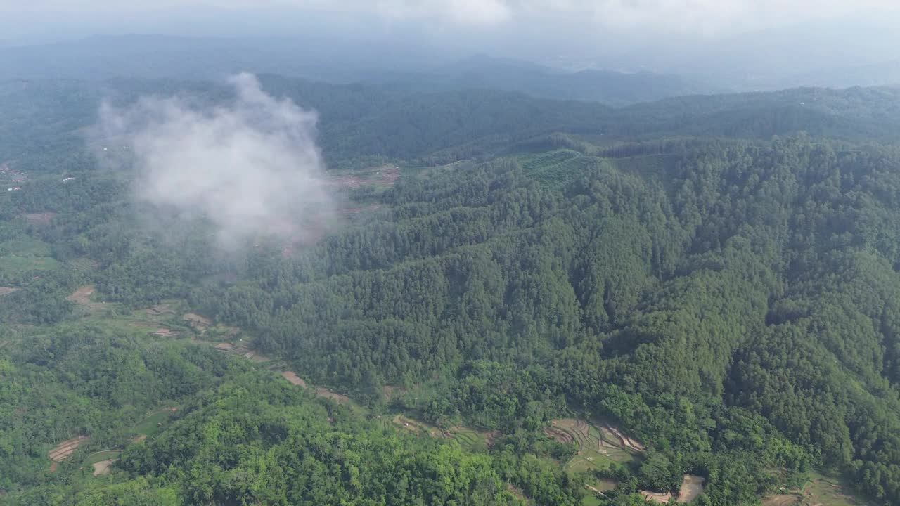 从上面看森林和山景视频下载