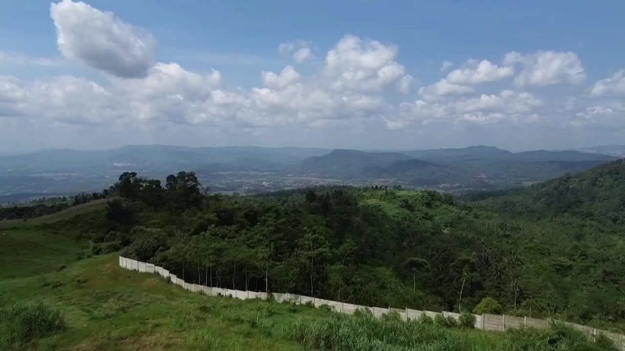 从森林看天空视频素材