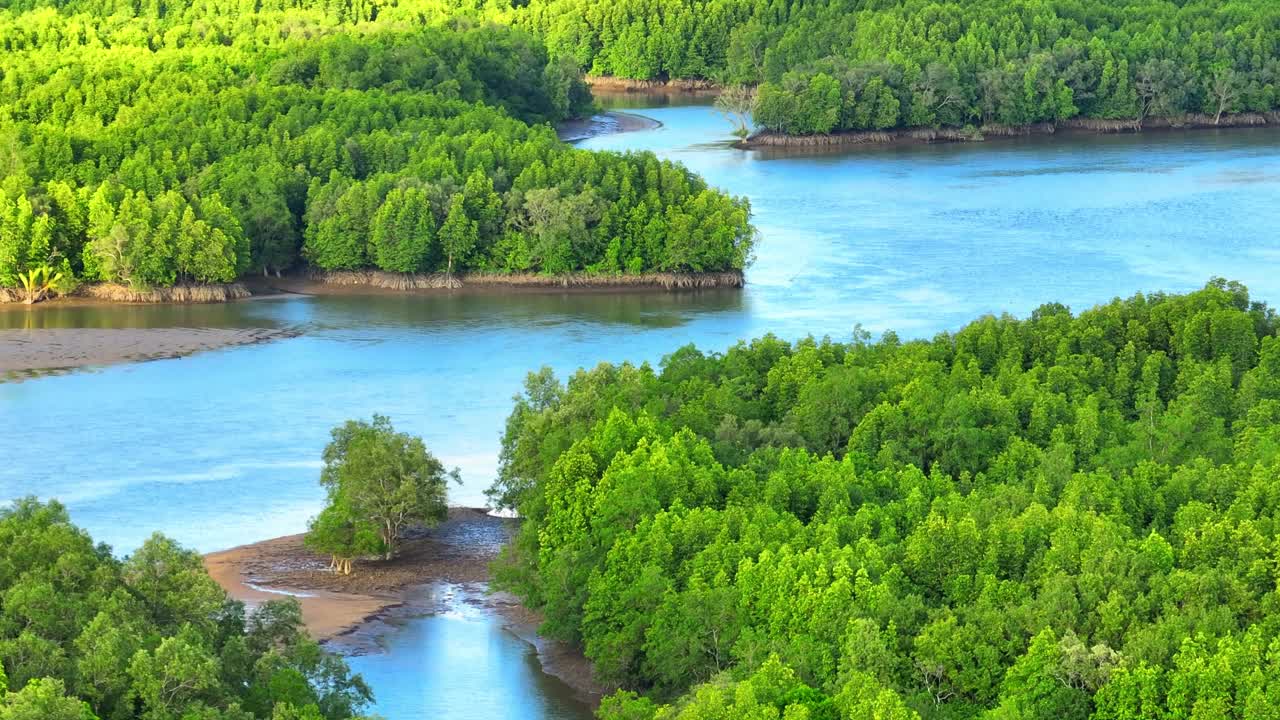 无人机拍摄的泰国红树林美景。视频素材