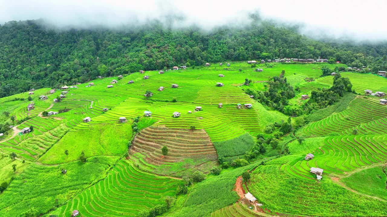 无人机在梯田上空飞行。视频素材