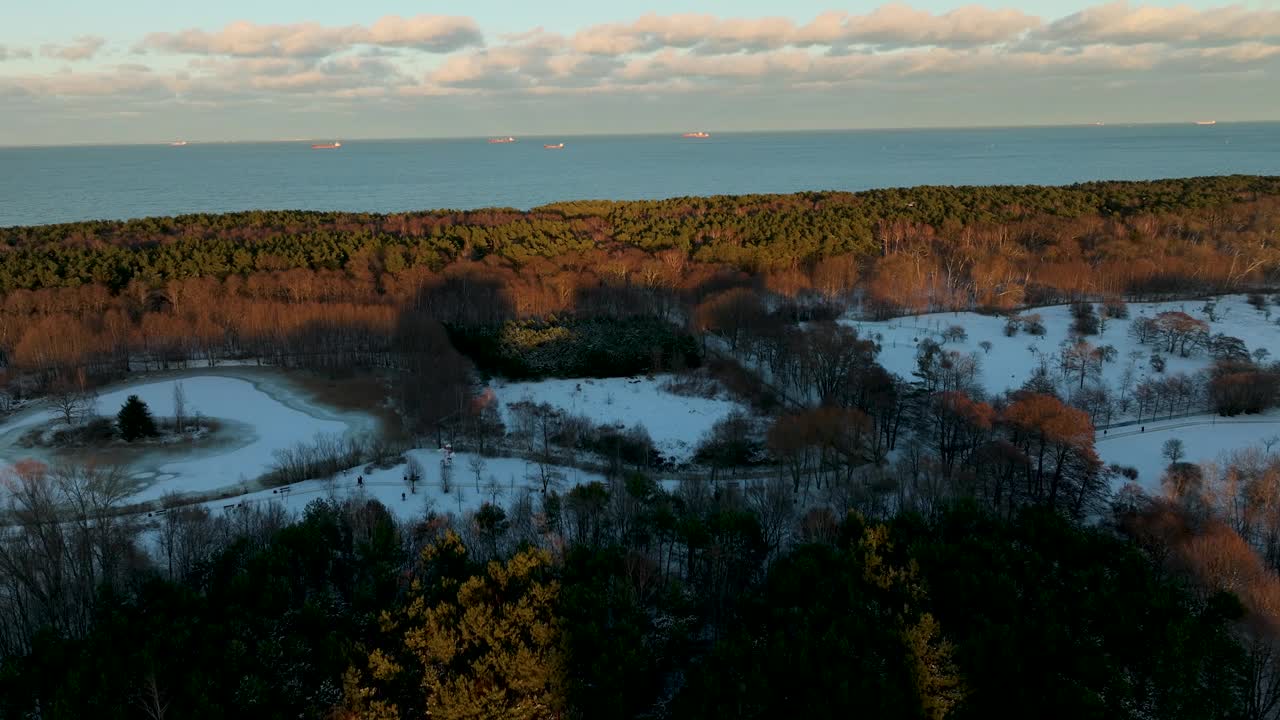 雪景与森林在日落，光投下长长的阴影，海在背景，鸟瞰图视频素材