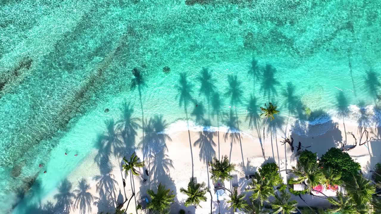 夏日棕榈树和热带海滩，蓝色的海滨背景视频素材