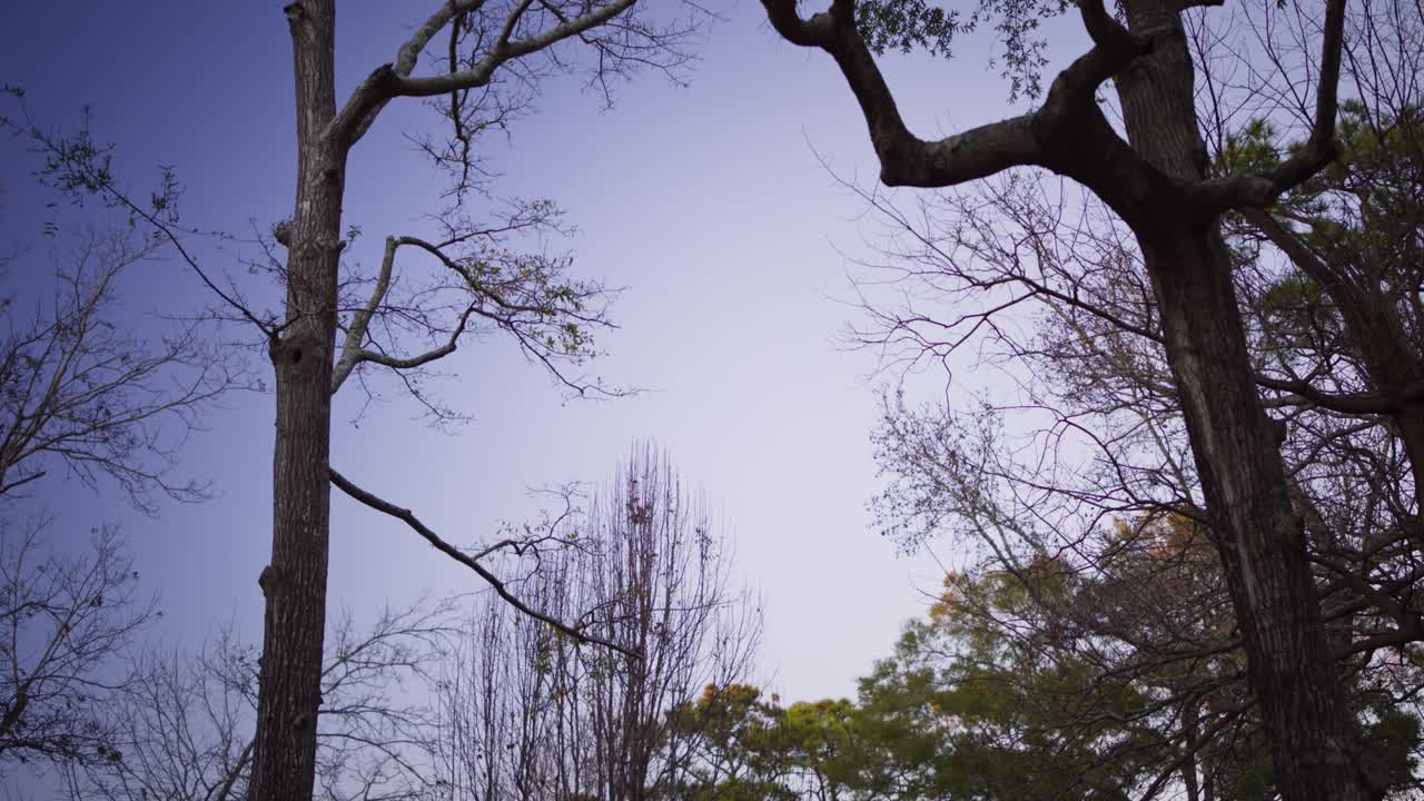 当门廊的灯打开，一辆汽车经过时，一个两层住宅的倾斜镜头视频素材