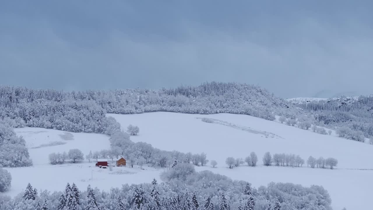 冬天，挪威因德福森，森林树木被雪覆盖的小屋-航拍视频素材