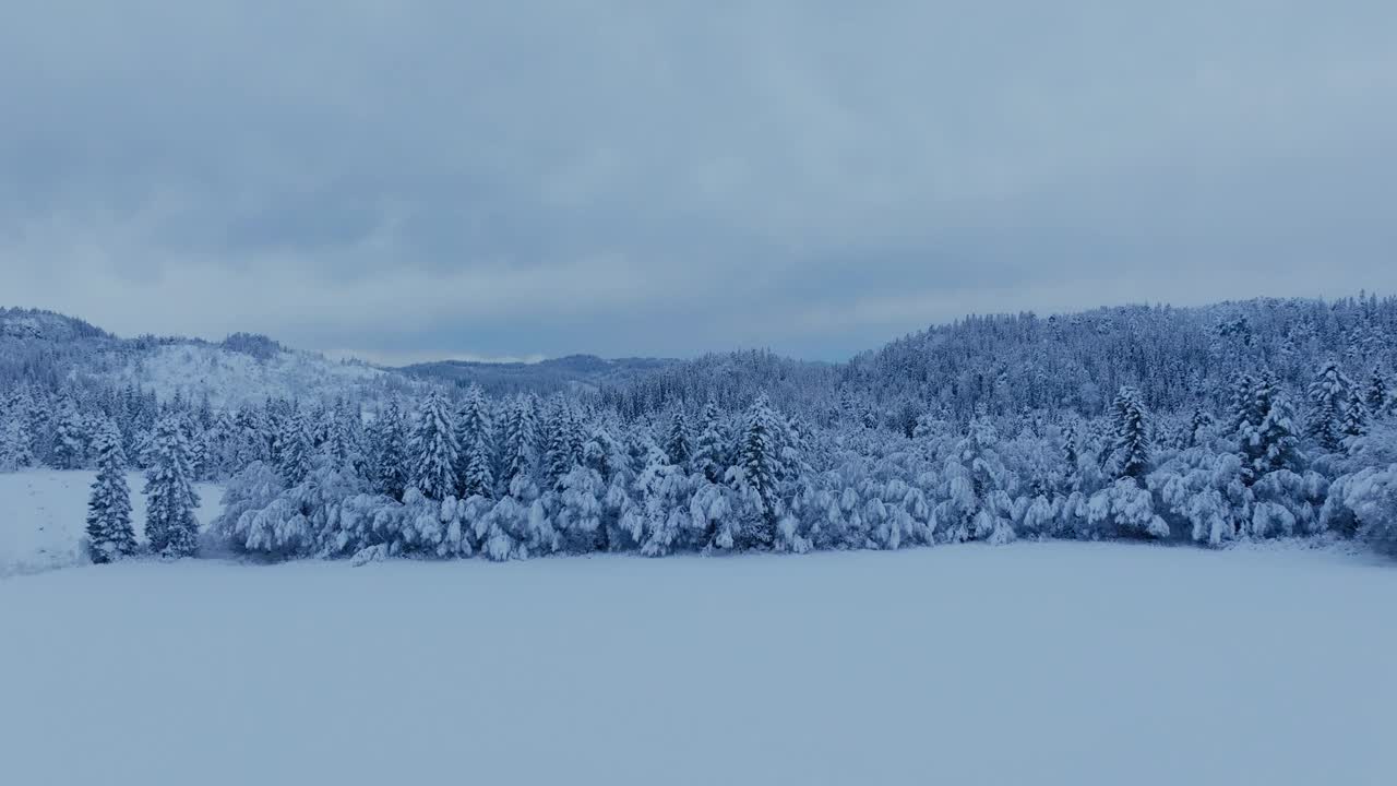 挪威因德福森覆盖着积雪的针叶林——无人机拍摄视频素材