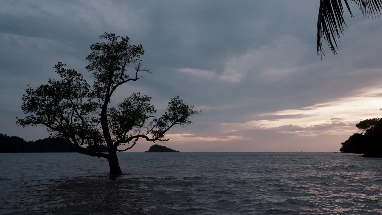 日落时，孤独的树在海浪中，泰国昌岛，乌云和地平线视频素材