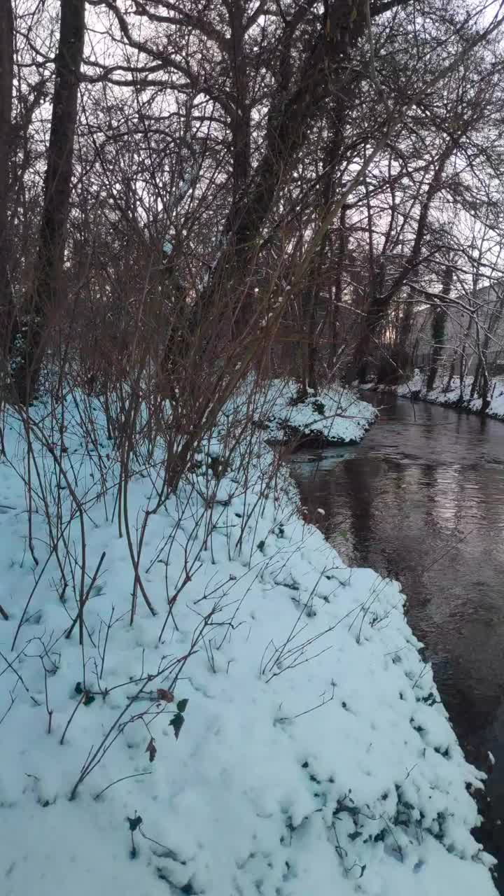 河流在寒冷的冬天被雪包围视频下载