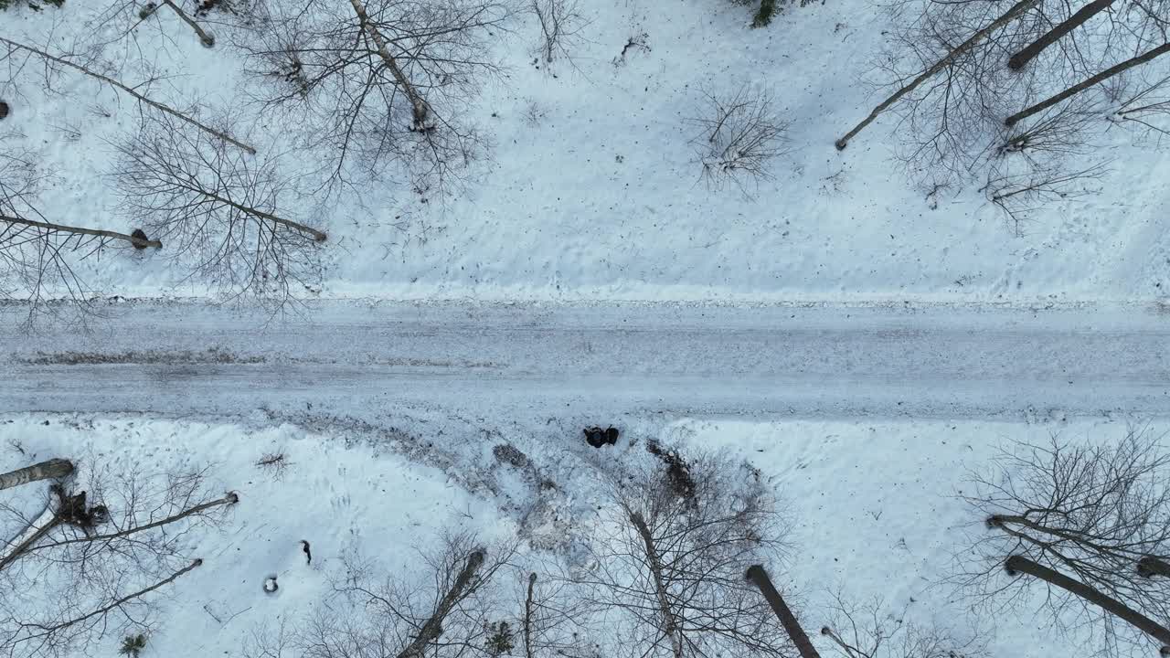 从上面看白雪覆盖的森林视频素材