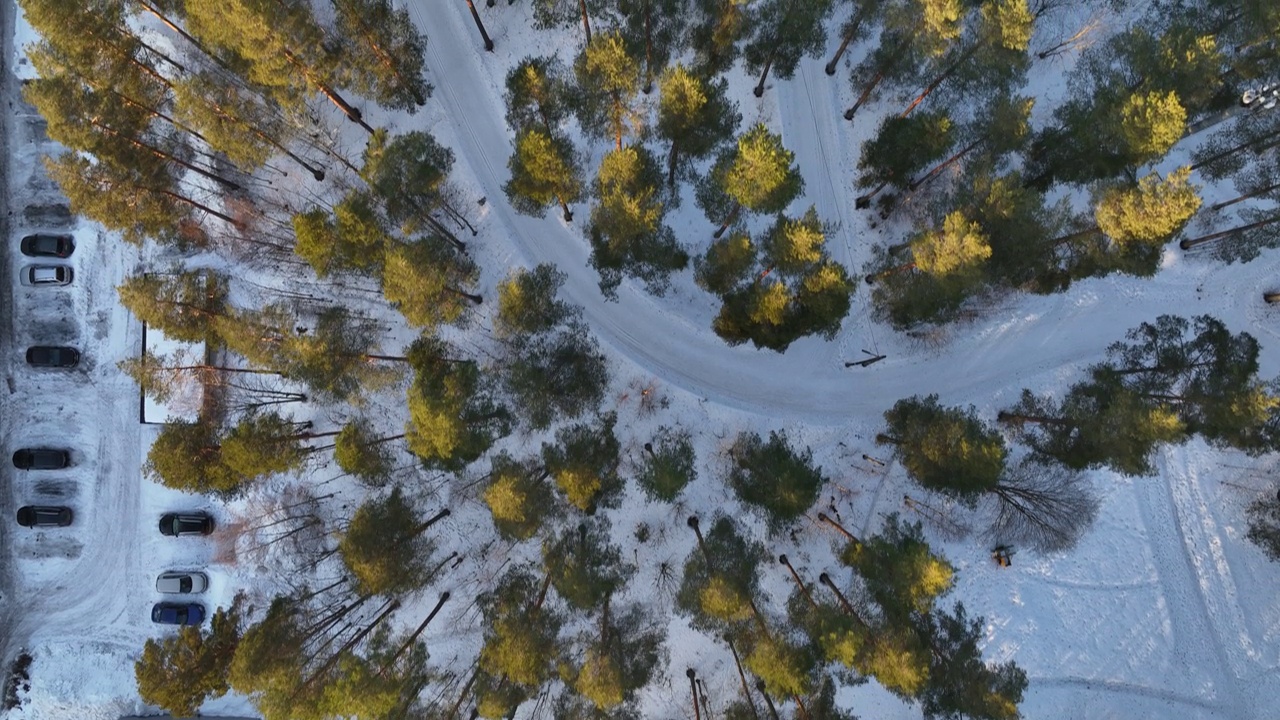 从上面看白雪覆盖的森林视频素材